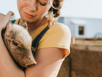What Skills Do You Need to Work With Animals?
