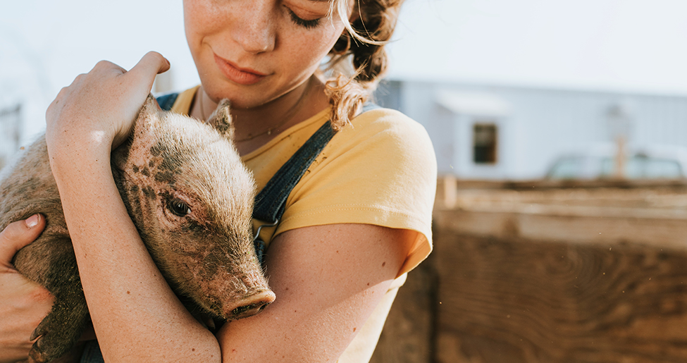6 Reasons to do Volunteer Work with Animals
