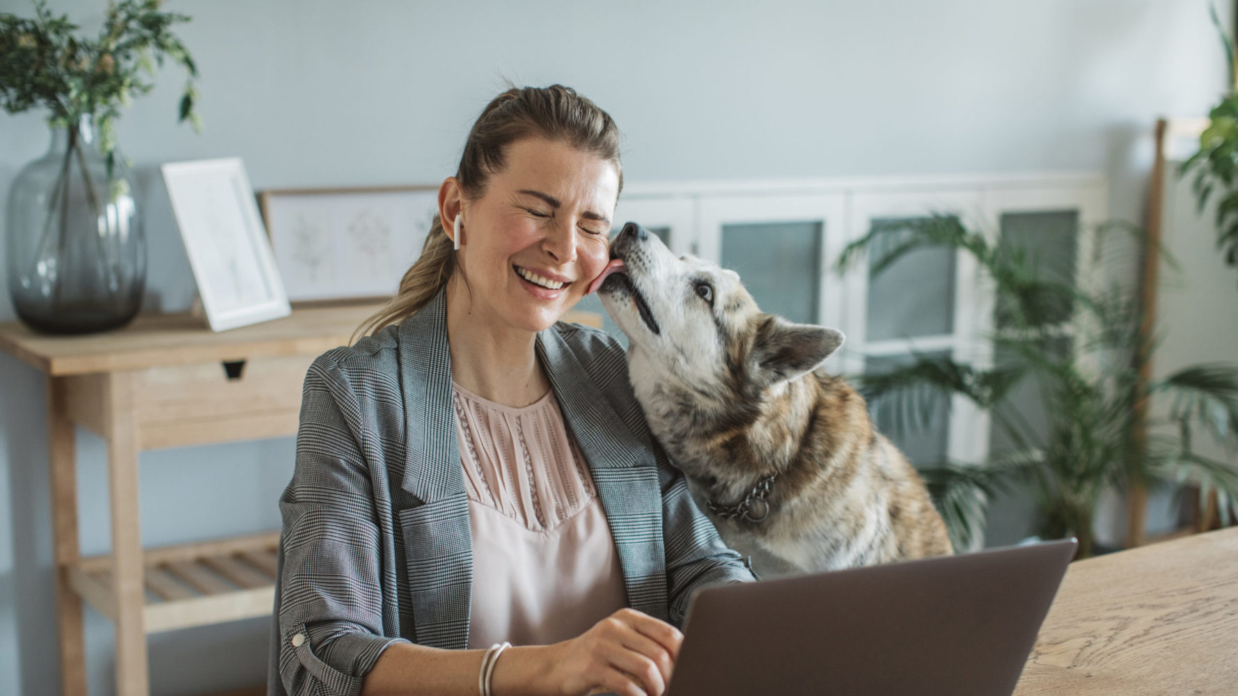 How to Work for an Animal Charity